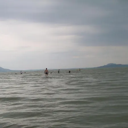 Ferienhaus Mit Pool Fur 12 Personen Am Balaton Ufer, Direkter Seezugang Feriehus *